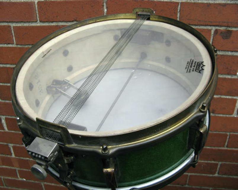paragreen7765.jpg