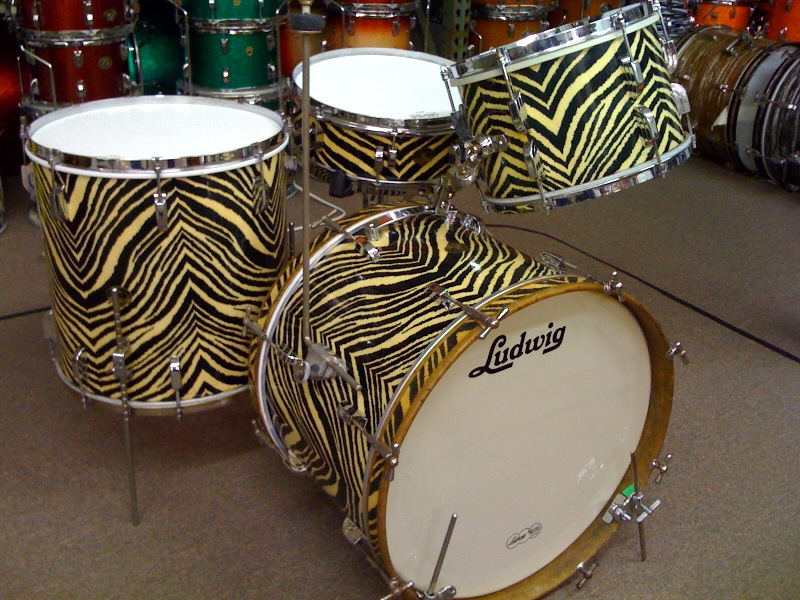 bunzebra1.jpg